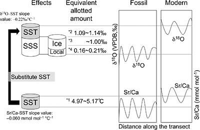 現生と化石キクメイシの比較による過去の水温・塩分復元の模式図
