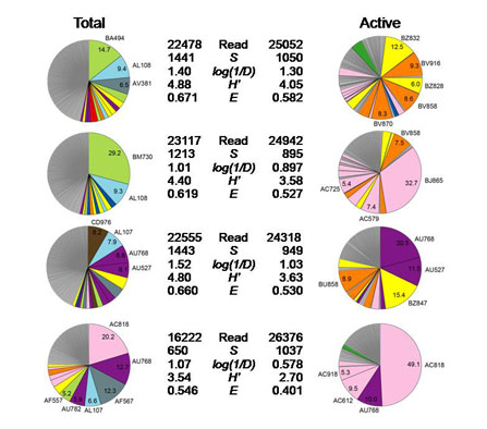 超並列シーケンスによる16SrRNA遺伝子多様性の網羅的解析