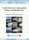 An Introduction to Leptocepahli Biology and Identification