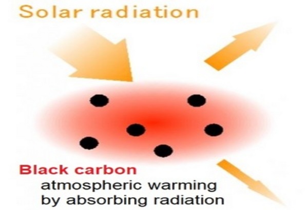 Science News & Research Topics