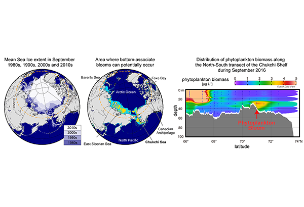 Science News & Research Topics