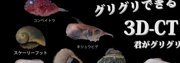 3D-CT深海生物クリッカブルマップ コンペイトウ, スケーリーフット, キシュウヒゲ, アルビンガイ, ヨモツヘグイニナ