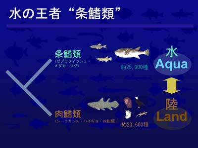 nishida.m_lab2