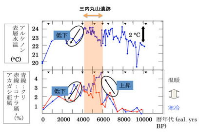 三内丸山遺跡における水温，気温（花粉分布）の変遷