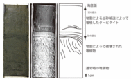 学術ニュース&研究トピックス