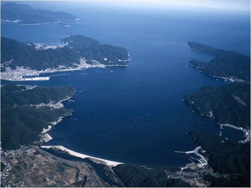  津波前の大槌湾の全景．写真下部が鵜住居川河口部