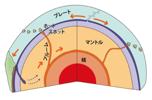 サンプル