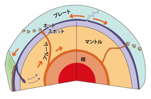 サンプル