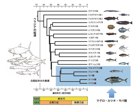 学術ニュース トピックス 東京大学大気海洋研究所