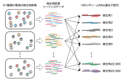 学術ニュース&研究トピックス