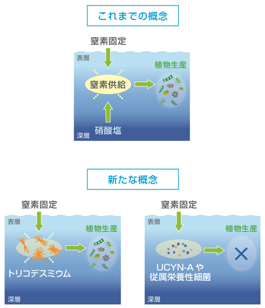 学術ニュース&研究トピックス