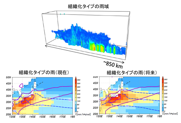 学術ニュース&研究トピックス