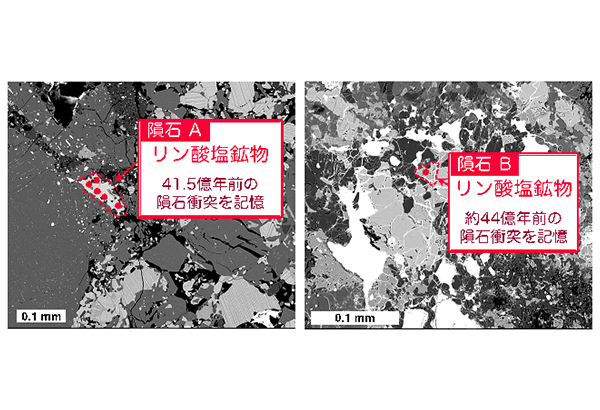 学術ニュース&研究トピックス