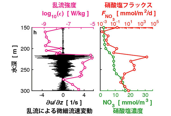 学術ニュース&研究トピックス