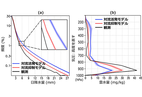 学術ニュース&研究トピックス