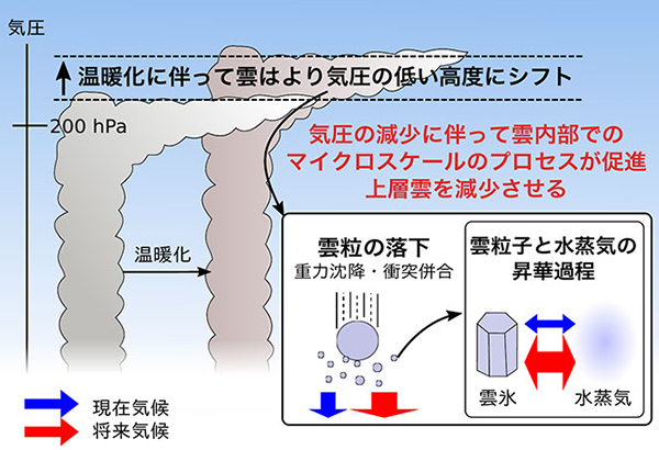 学術ニュース&研究トピックス