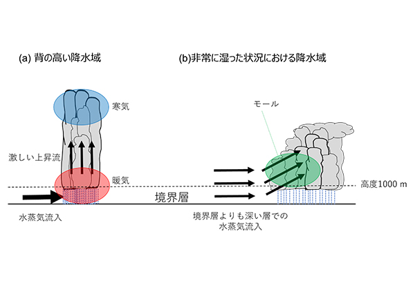 学術ニュース&研究トピックス