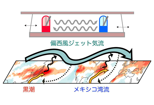 学術ニュース&研究トピックス