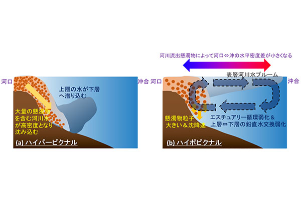 学術ニュース&研究トピックス