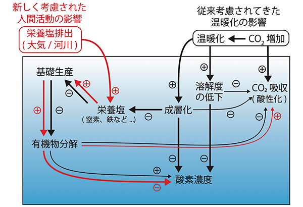 学術ニュース&研究トピックス