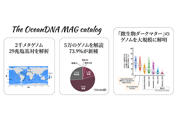 学術ニュース&研究トピックス