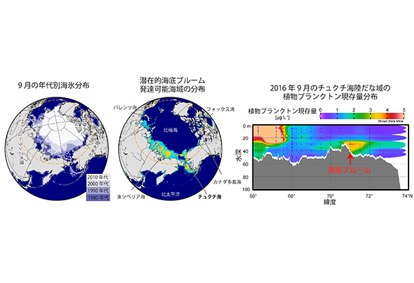 学術ニュース&研究トピックス