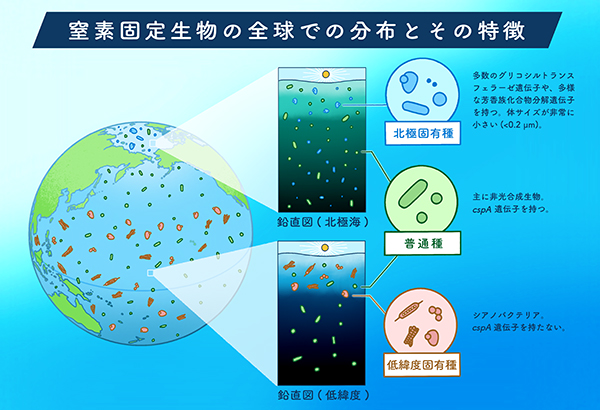 学術ニュース&研究トピックス