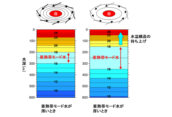 学術ニュース&研究トピックス