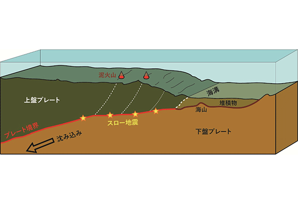 学術ニュース&研究トピックス