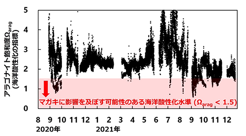 マガキ養殖海域の温暖化・酸性化の詳細な観測・予測に成功～深刻な影響を回避するためには様々な対策が必要～