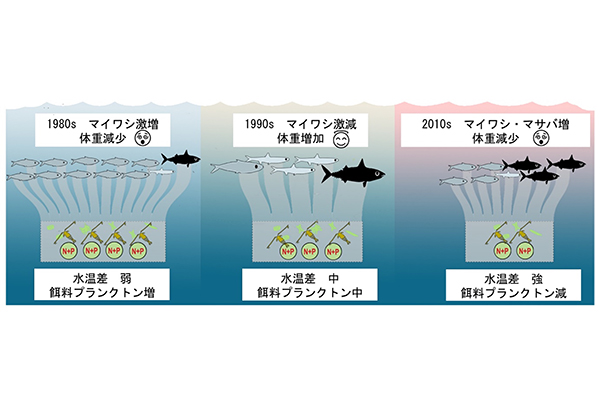 学術ニュース&研究トピックス