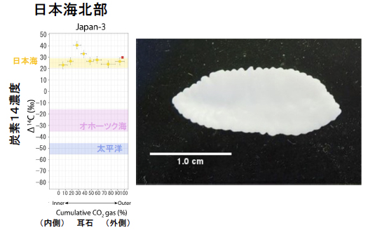 個体別のスケトウダラの回遊履歴復元～北海道周辺の3グループの生態履歴～