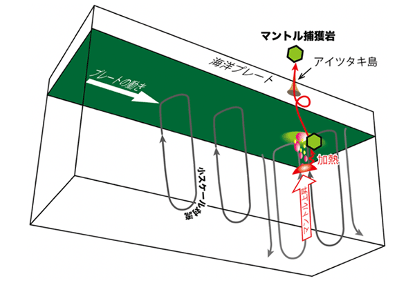 学術ニュース&研究トピックス