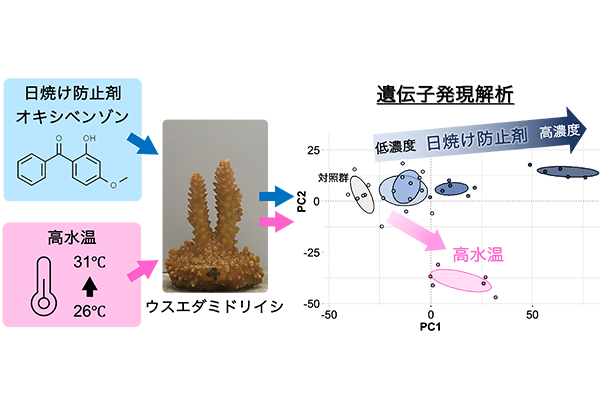 学術ニュース&研究トピックス