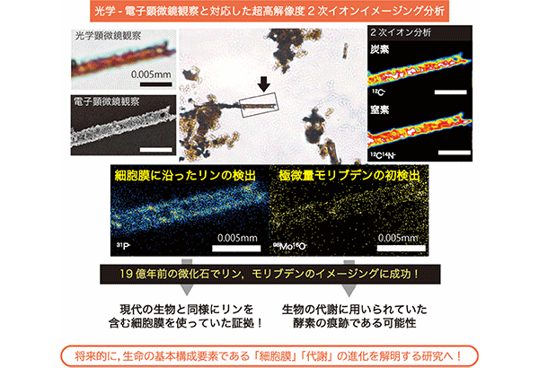 学術ニュース&研究トピックス