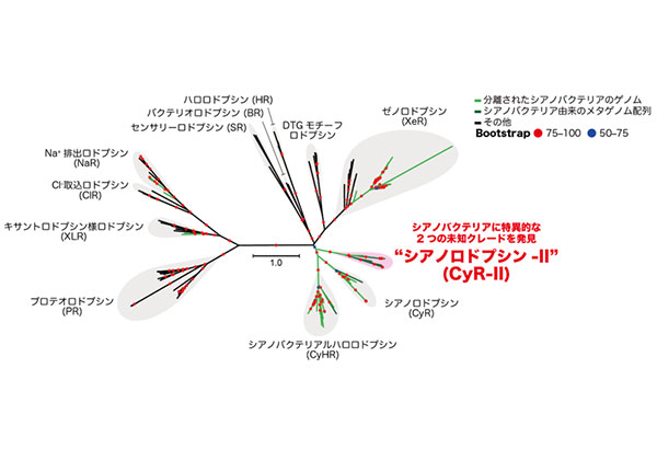 学術ニュース&研究トピックス