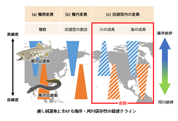 学術ニュース&研究トピックス