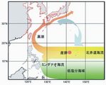 学術ニュース&研究トピックス