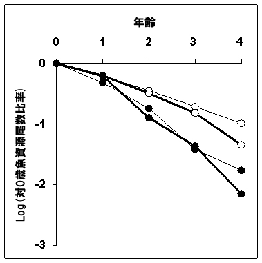 資源量増加期（1980年級○太線と1985年級○細線）と  減少期（1993年級●細線と1998年級●太線）における、0歳時資源尾数に対する1～4歳時資源尾数の割合