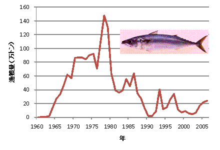 マサバ太平洋系群の漁獲量の年変動
