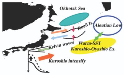 千島列島付近での強い潮汐混合が18.6年振動することに起因する海洋・大気変動過程の模式図