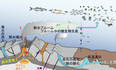 海底の熱水循環と関連する岩石ー水ー生命の相互作用