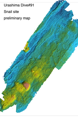 うらしま搭載の音響測深機SEABATによって得られた詳細な熱水孔周辺の海底地形図