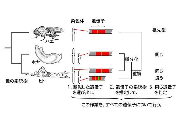 学術ニュース&研究トピックス