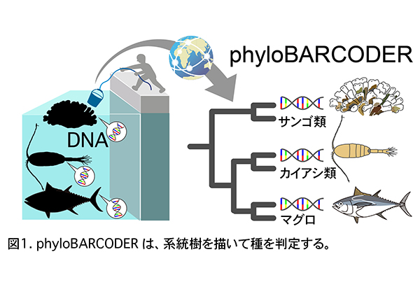 学術ニュース&研究トピックス